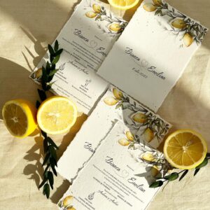invitatie nunta jolene